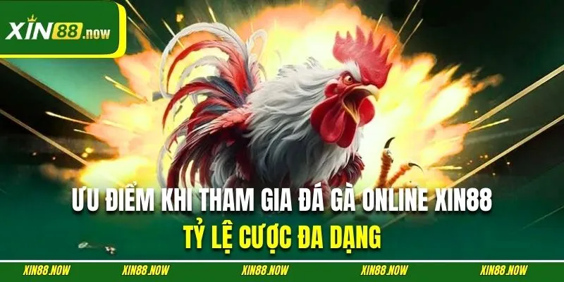 Đá gà XIN88 sở hữu tỷ lệ cược đa dạng vô cùng hấp dẫn