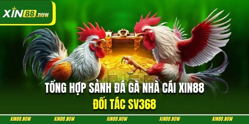 Sảnh chọi kê trực tuyến SV368 với hàng trăm phiên live/ngày