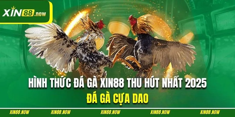 Trải nghiệm những màn tranh tài cựa dao đẫm máu