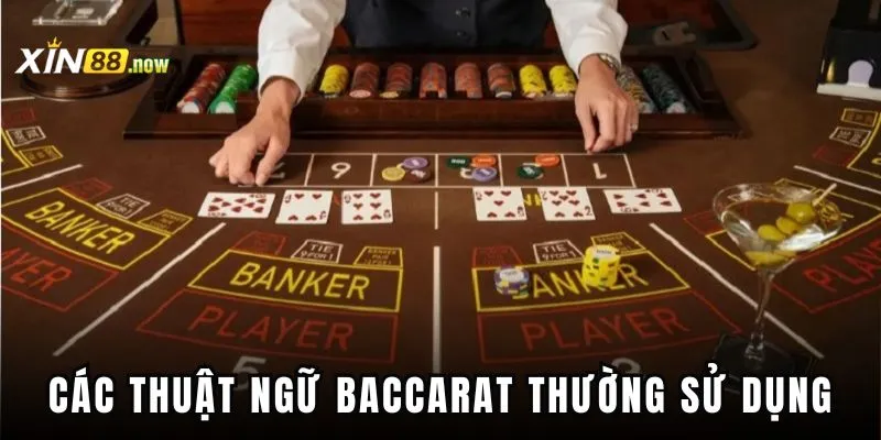 Baccarat Xin88 - Sân Chơi Cá Cược Dành Cho Mọi Người 4 Những thuật ngữ thành viên cần phải nắm thật rõ