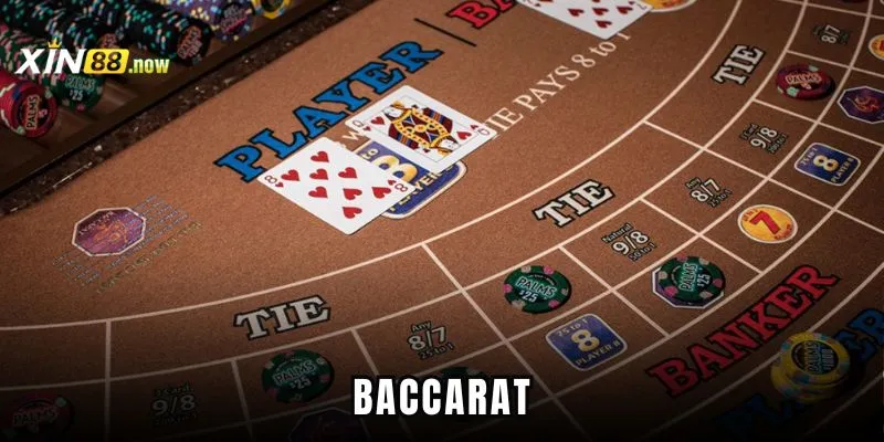 baccarat xin88