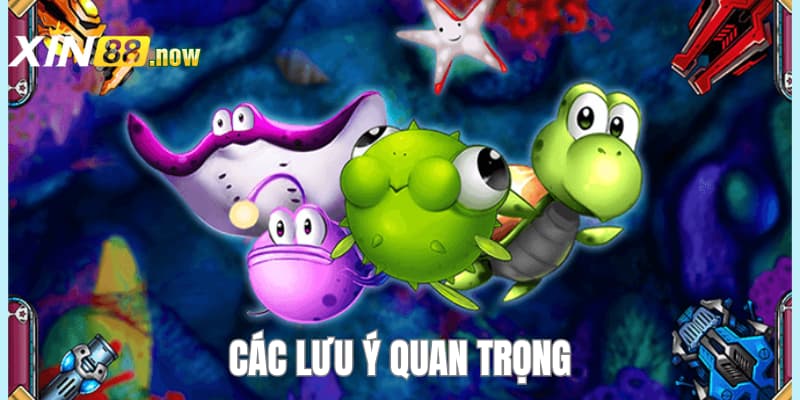 Nên Bắn Cá Nào - Khám Phá Danh Sách Mẹo Bắn Cá Tại XIN88 5 Các lưu ý cần chú trọng