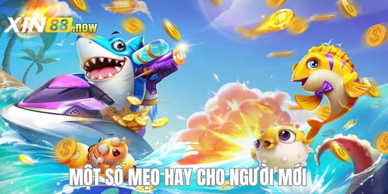 Nên Bắn Cá Nào - Khám Phá Danh Sách Mẹo Bắn Cá Tại XIN88 3 Chiến thuật cho người mới