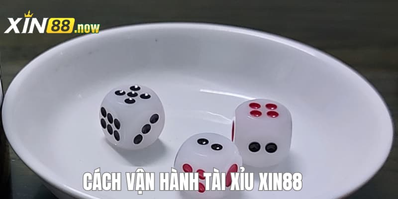 Tài Xỉu XIN88 - Lối Chơi Đơn Giản Rinh Thưởng Dễ Dàng 3 Phương thức vận hành chi tiết