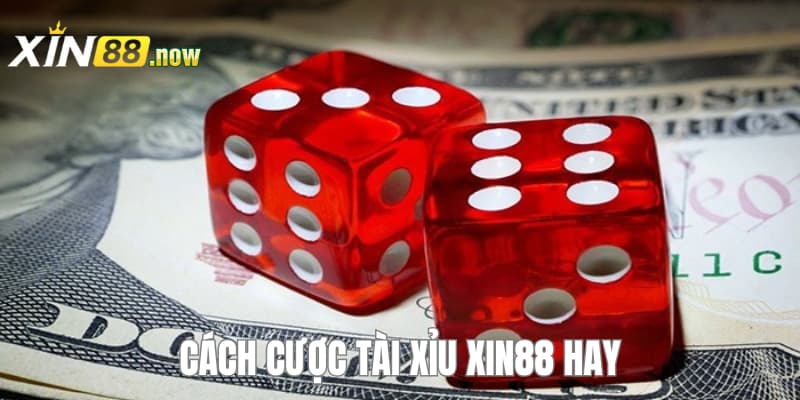 Tài Xỉu XIN88 - Lối Chơi Đơn Giản Rinh Thưởng Dễ Dàng 5 Cách cược cực hiệu quả