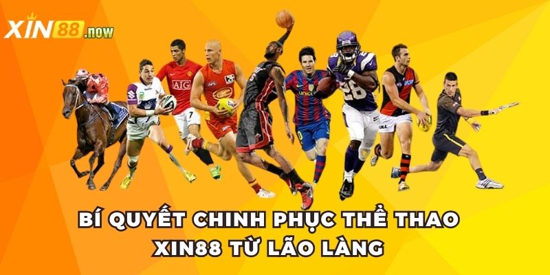 Bí quyết chinh phục thể thao Xin88 từ lão làng