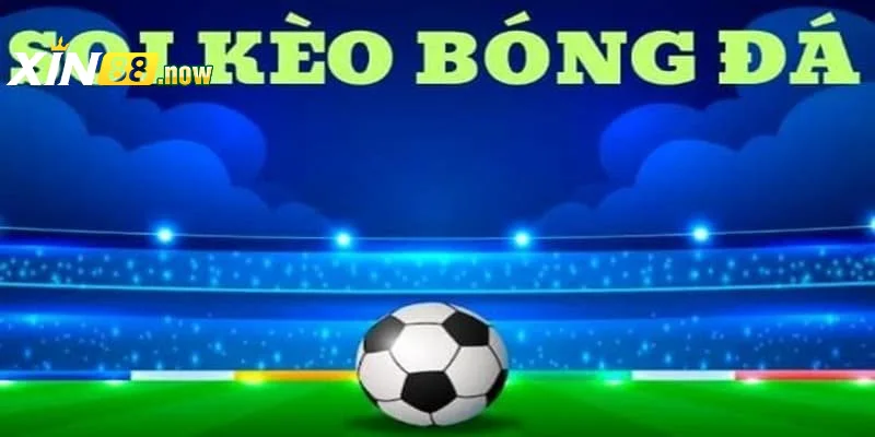 Cách Soi Kèo Bóng Đá Siêu Chuẩn Tại Nhà Cái Xin88 2 Soi kèo bóng đá trong bảng tỷ lệ kèo