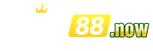 xin88